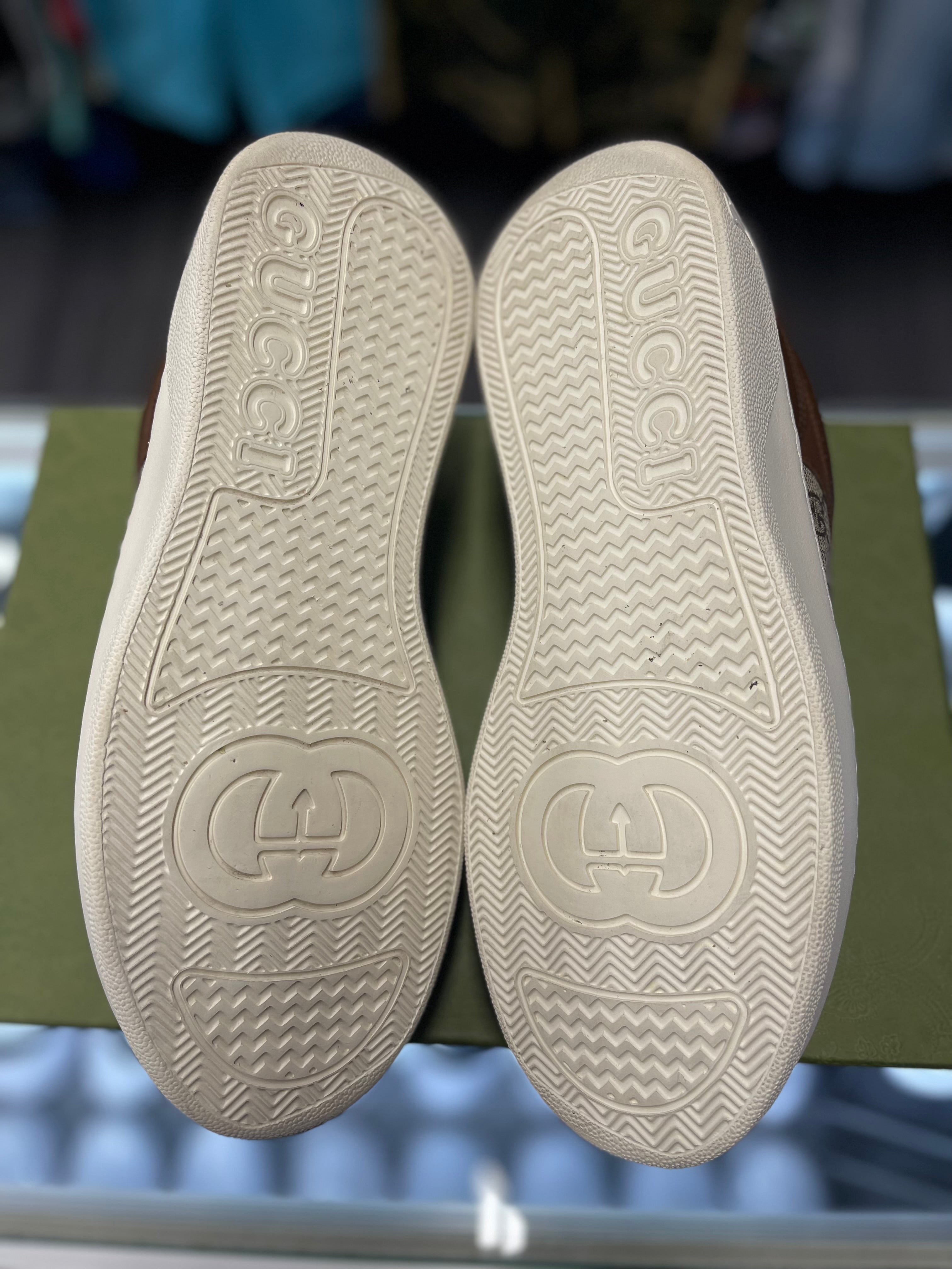 Gucci GG Beige Ebony Canvas Sneaker