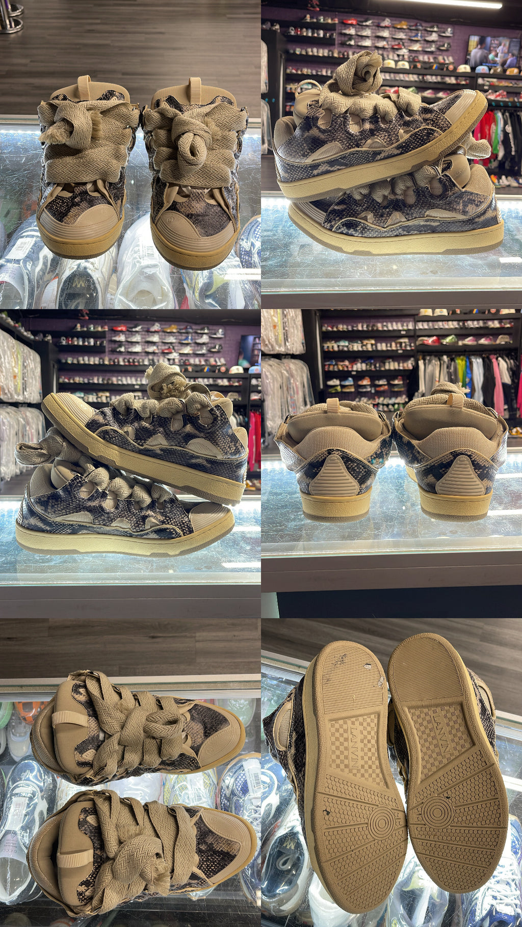 Lanvin Curb Sneaker "Beige Python"
