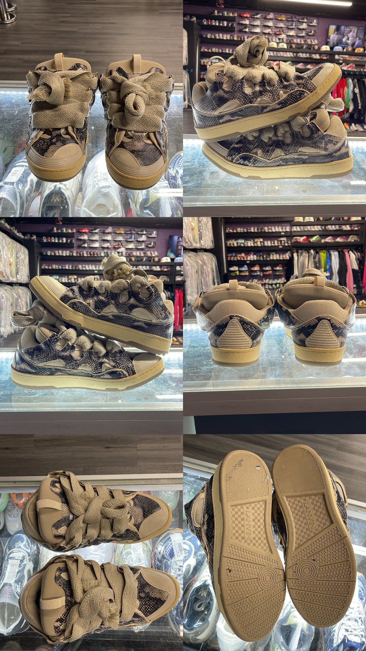 Lanvin Curb Sneaker "Beige Python"