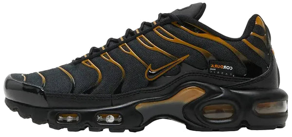 2021 Nike Air Max Plus "Cordura Black"