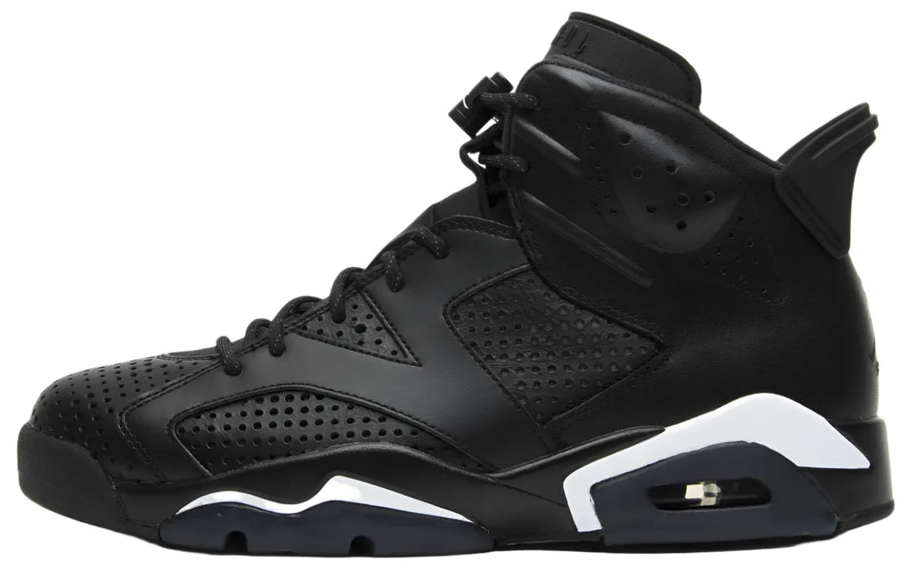 2016 Air Jordan Retro 6 "Black Cat"