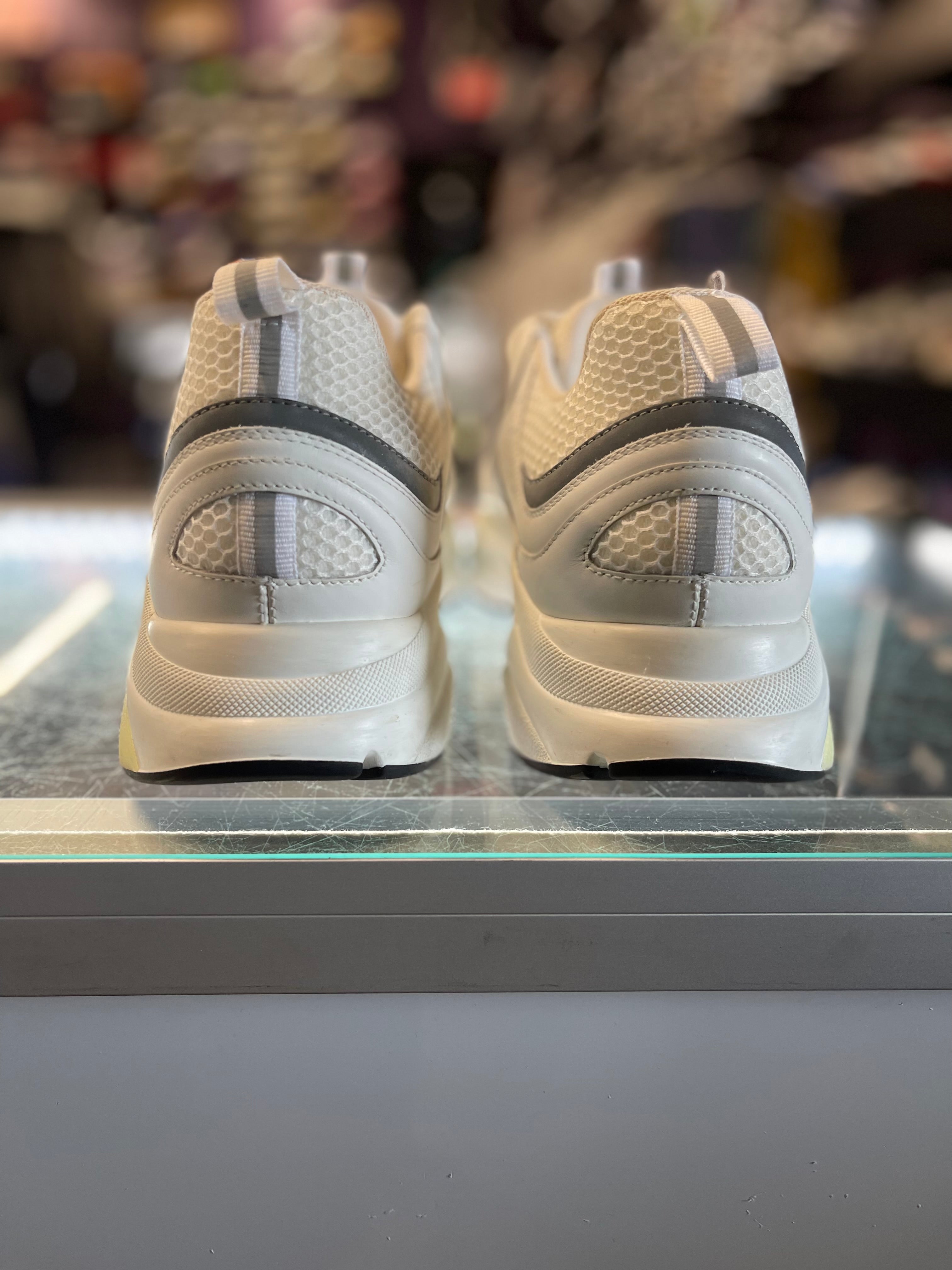 Christian Dior B22 "White/Grey"