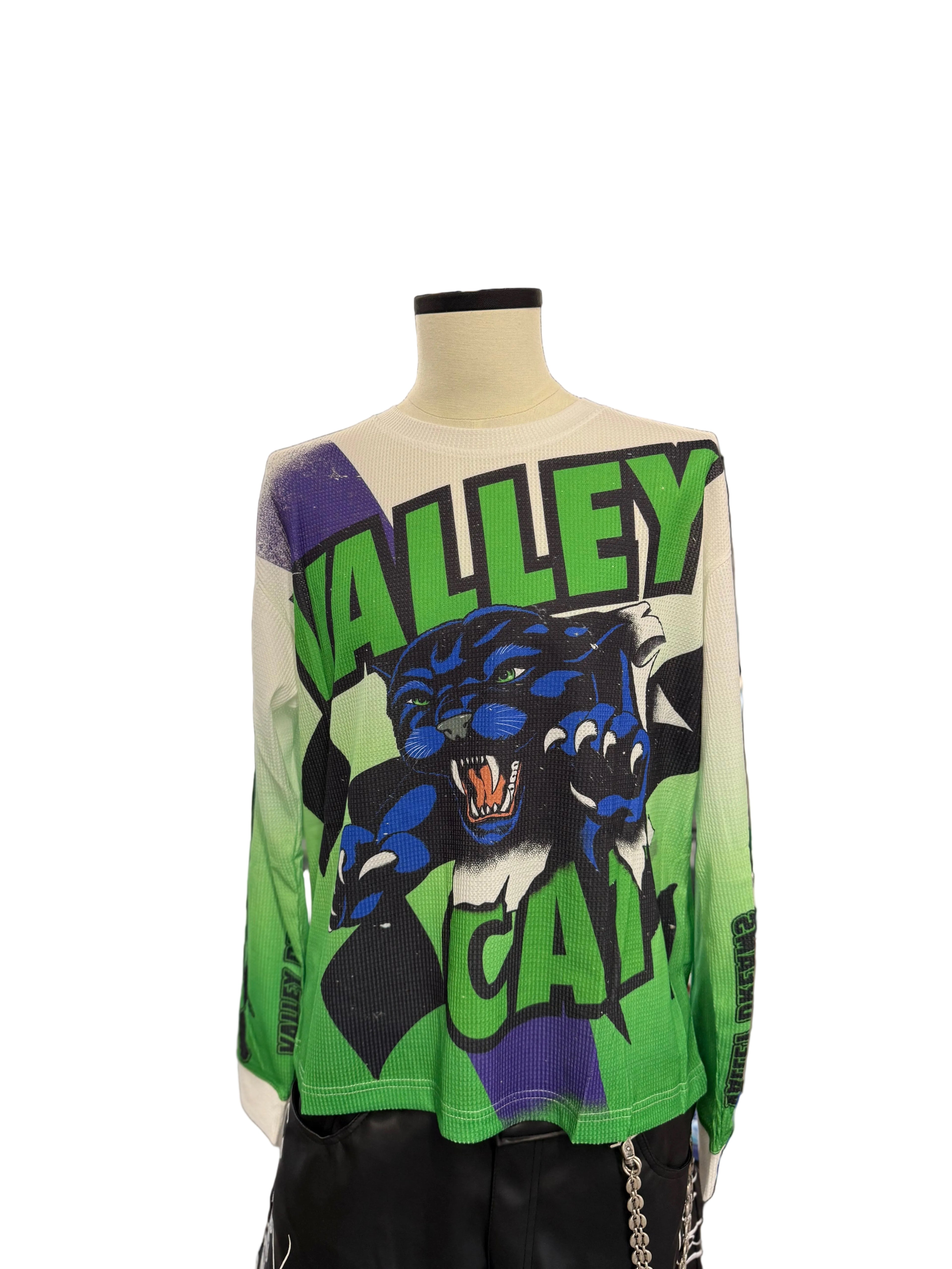 Vale Valley Cats