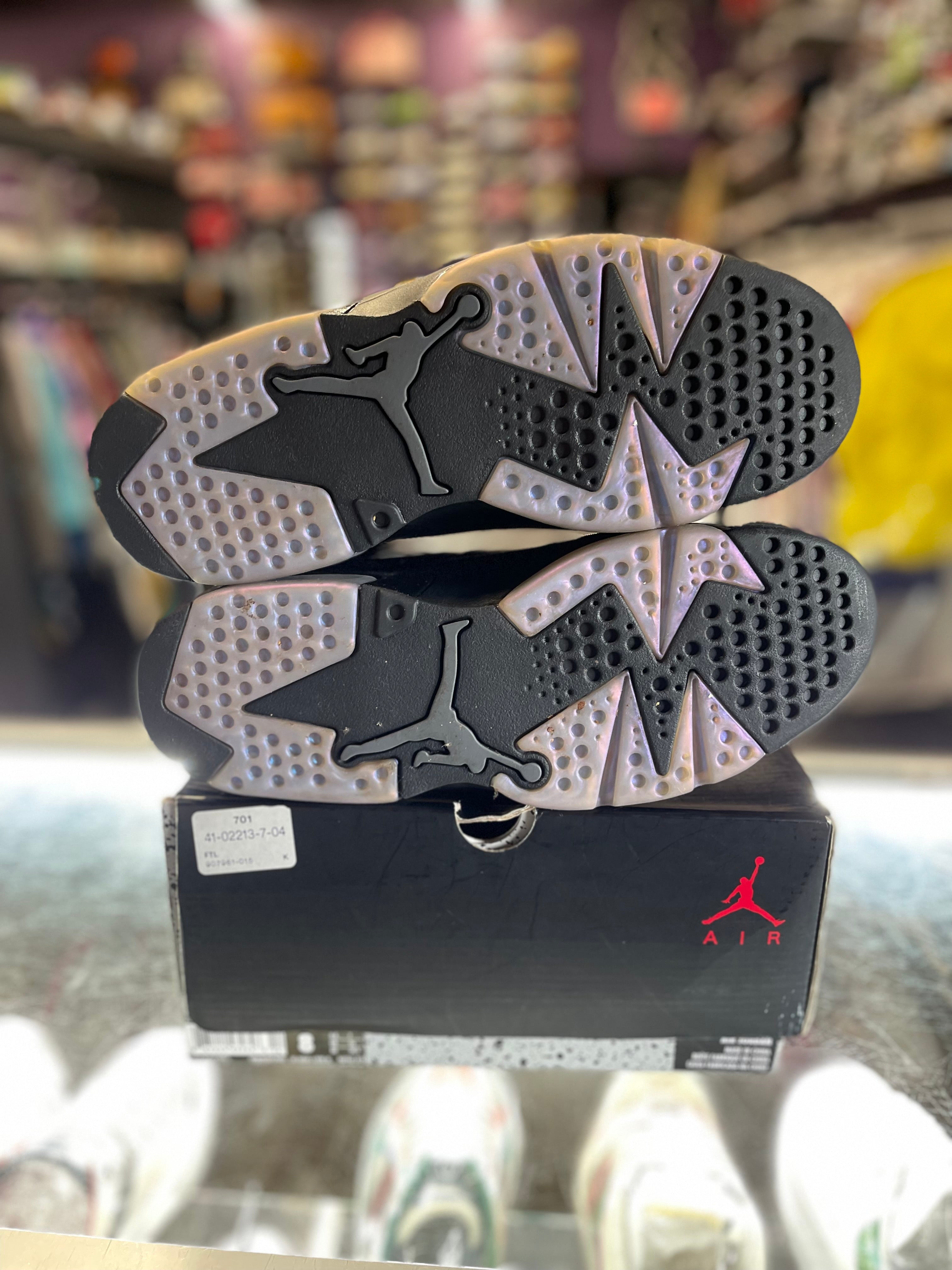 2017 Air Jordan Retro 6 "All-Star Chameleon"