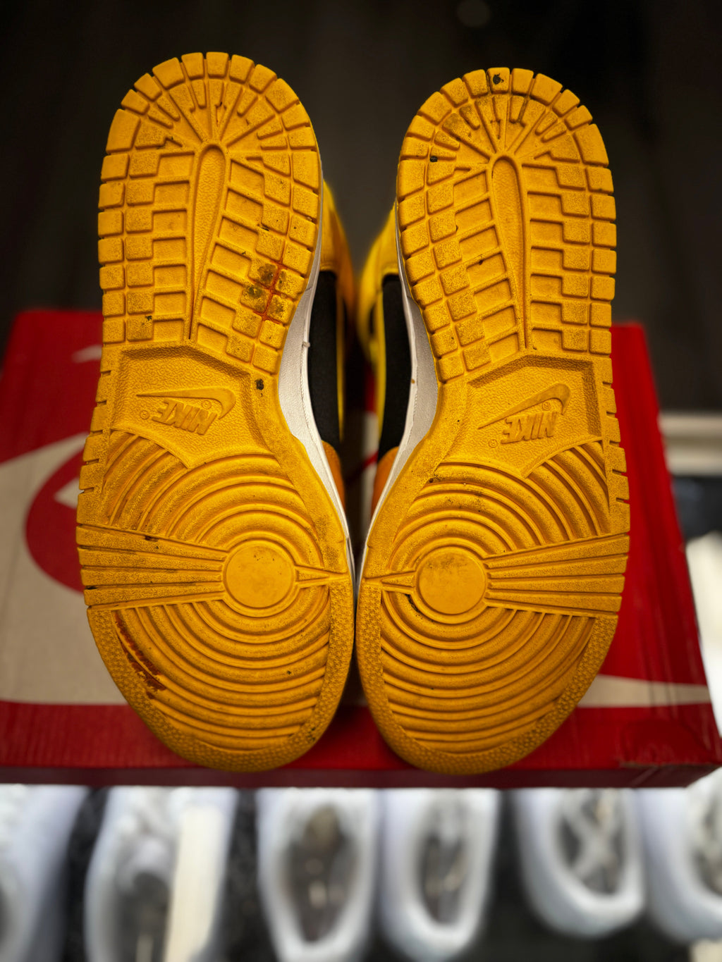 2023 Nike Dunk High "Satin Goldenrod" (W)