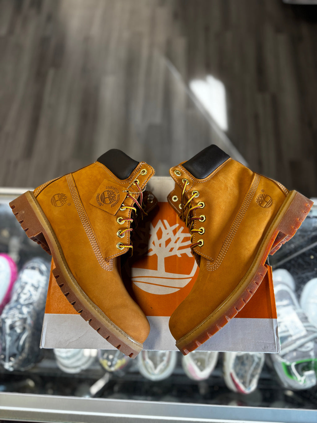2019 Timberland 6"Premium Waterproof Boof "Wheat"