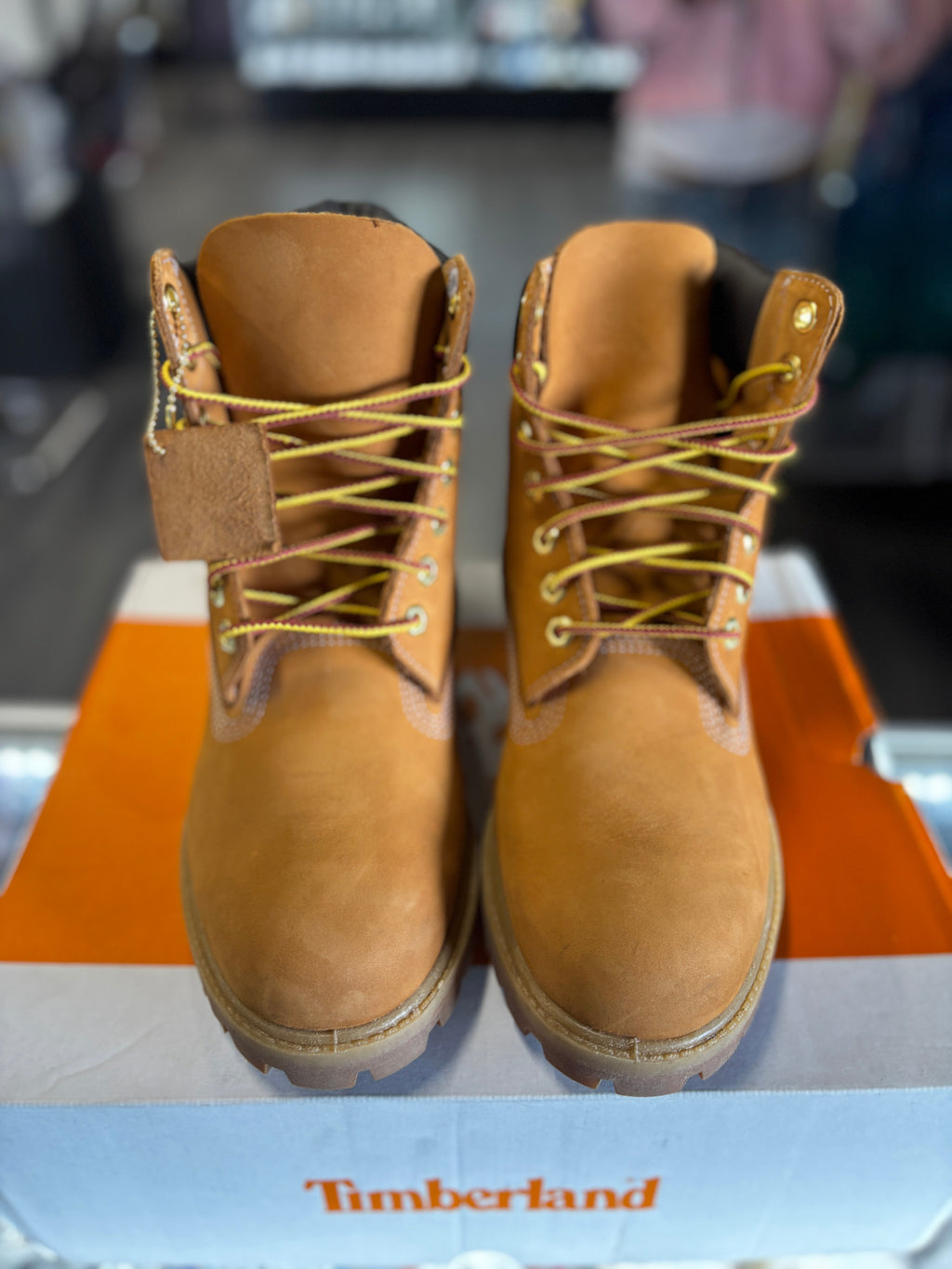 2019 Timberland 6"Premium Waterproof Boof "Wheat"