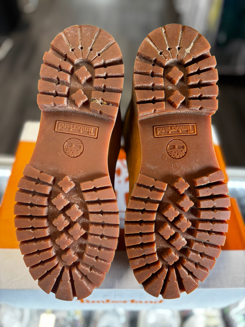 2019 Timberland 6"Premium Waterproof Boof "Wheat"