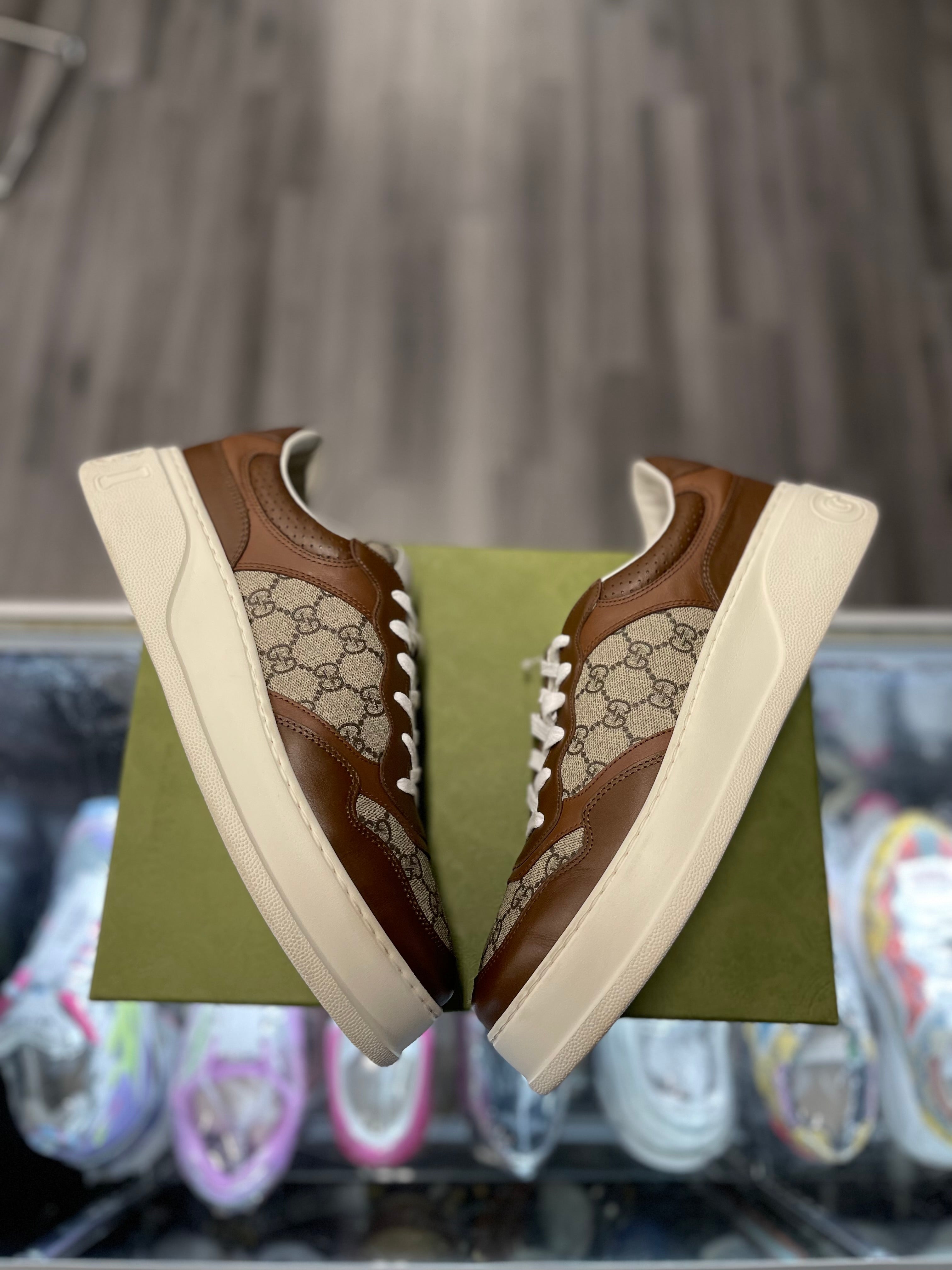 Gucci GG Beige Ebony Canvas Sneaker