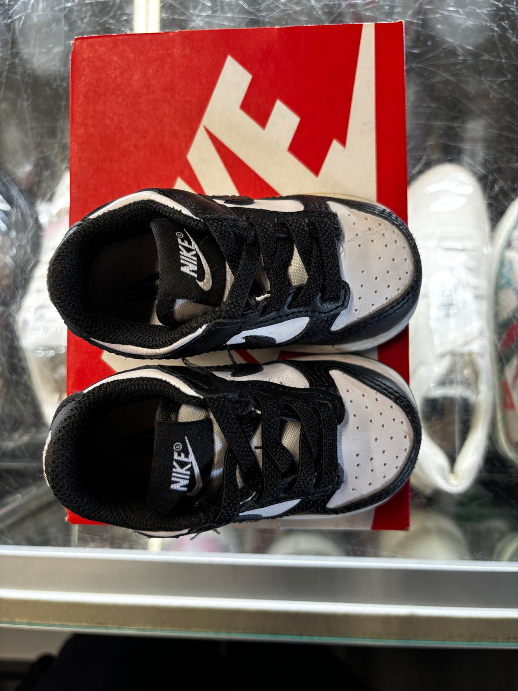 2021 Nike Dunk Low "Panda" (TD)