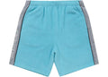 Supreme Polartec Shorts "Light Blue"